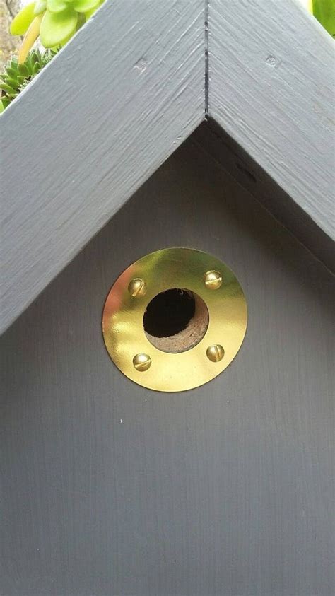 metal bird box hole protectors|metal bird house hole guards.